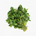 Mint Leaves Qatar 200g
