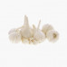 Garlic India Air 1Kg (Approx)