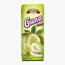 Tetra Pack Gauva Juice 250ml