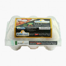 Al Zain Farm Fresh Large White Eggs 6 Pieces