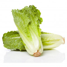 Lettuce Farm Fresh Qatar 1Kg (Approx) - خس مزرعة طازجة قطر 1كج (تقريبا)