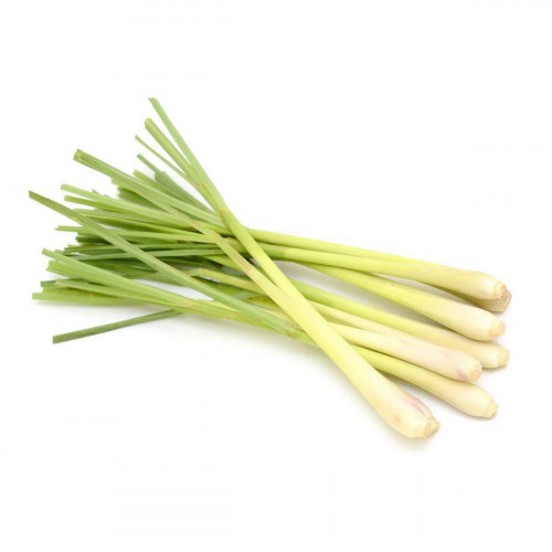 Lemon Grass Thailand 1Kg (Approx) - عشبة الليمون التايلاندية 1كج (تقريبا)