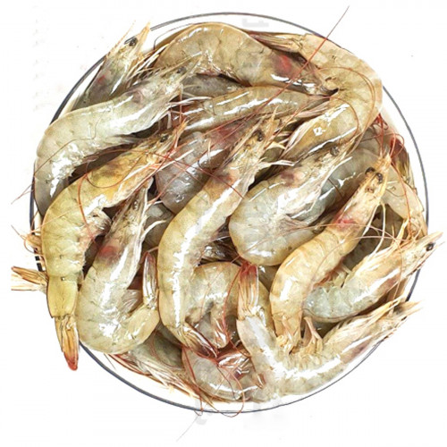 Prawns Iran 1Kg
